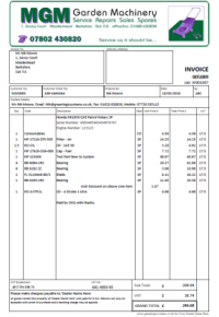 Professional Invoice pdf